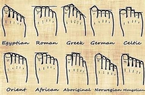 7 Types of Toes, and the Secrets They Reveal About Your Personality!
