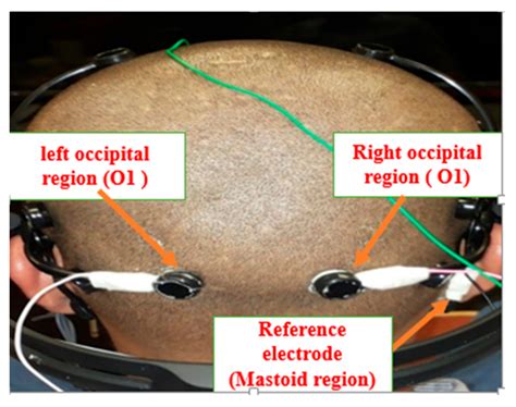 Effects of Viewing Displays from Different Distances on Human Visual System