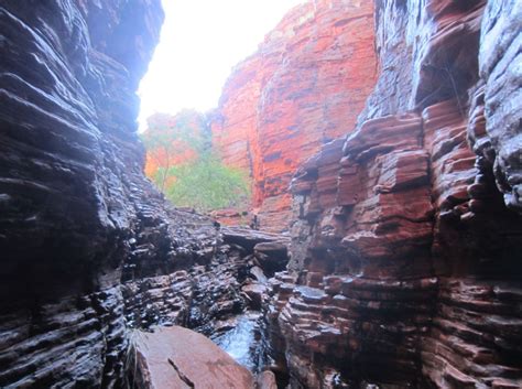 Nyangumarta Songlines: Pilbara Region Traditional Navigation Routes