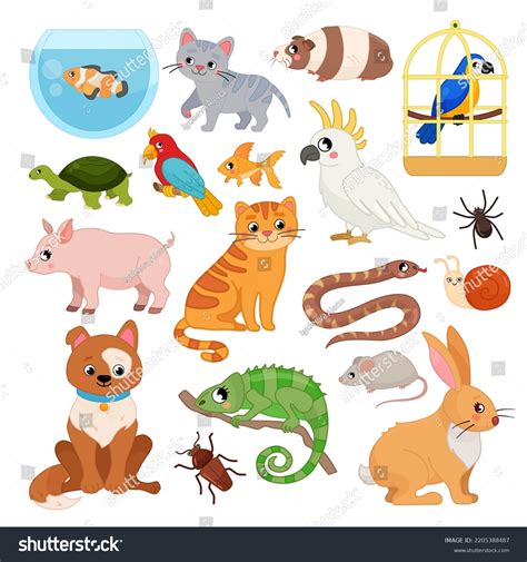 Cartoon Network Pets 的图像结果