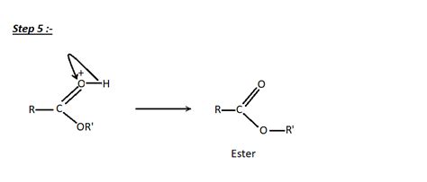 Mechanism of Esterification of Carboxylic Acids. – The Unconditional Guru