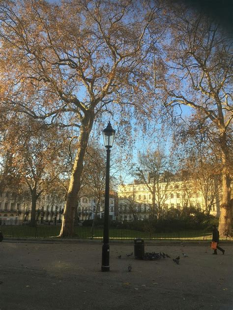 Walking Tour - Marx, Lenin and Anarchism: Revolutionaries in Fitzrovia ...