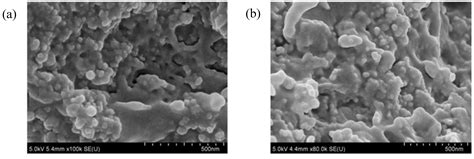 Epoxy Resin Composite Based on Functional Hybrid Fillers