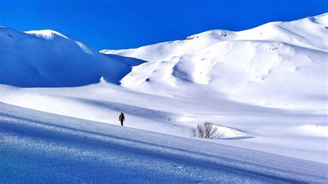 Ciaspolata e pranzo in rifugio. Escursione guidata con ciaspole nel ...