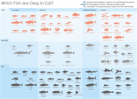 Image result for Understanding Fish Graphs