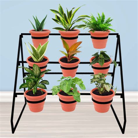 Planter Stand for Flower Pots – TrustBasket