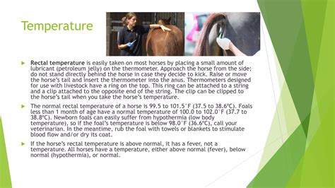 Equine vitaL signs | PPT