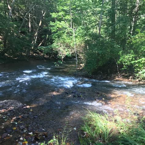 North River Campground Camping | The Dyrt