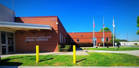 Cuthbertson Middle School - STUDENT START UP PAGE For those searching ...