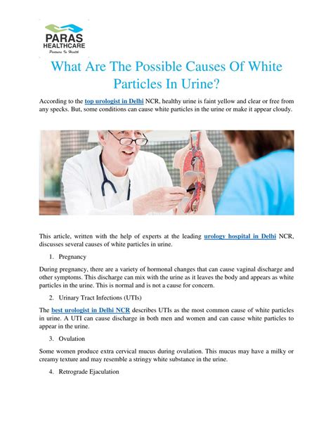 PPT - What Are The Possible Causes Of White Particles In Urine ...