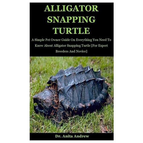 Buy Alligator Snapping Turtle: A Simple Pet Owner Guide On Everything ...