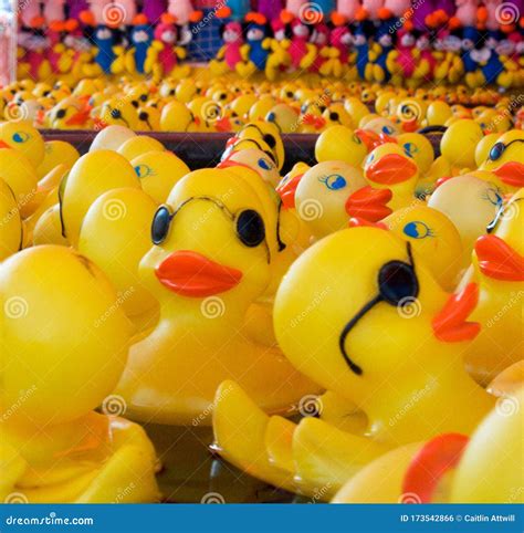 Rubber Ducky Carnival Game with Repeating Colors Editorial Photo ...