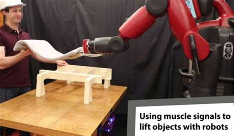 Image result for Muscle Wire in Robotics