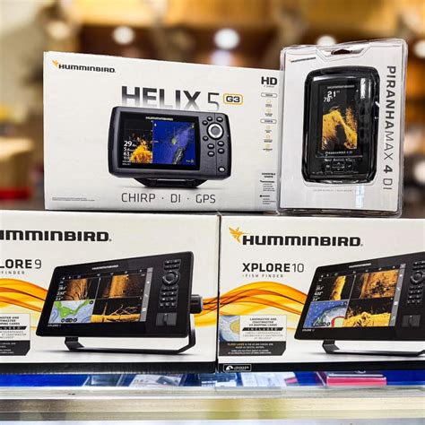 Image result for Hummingbird Fish