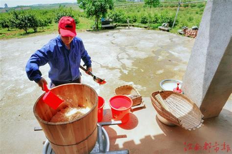 客家米酒的制作方法大全（水酒、烧酒、糯米酒娘和伏酒） - 知乎