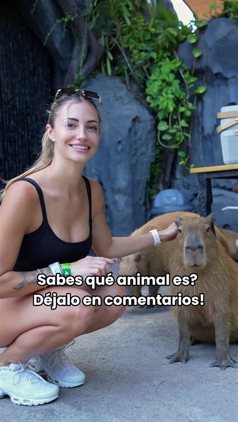 DENISE SERENA (@denisserenaaa) - Urlebird