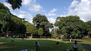 Top 20 things to do in Caracas (Updated Oct 2024)