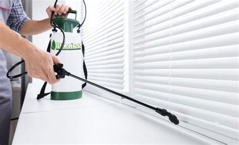 Cockroach Pest Control 的图像结果