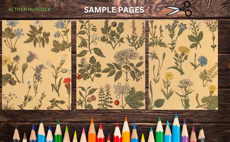 Image result for Vintage Botanical File Folder Scrapbook Tutorial