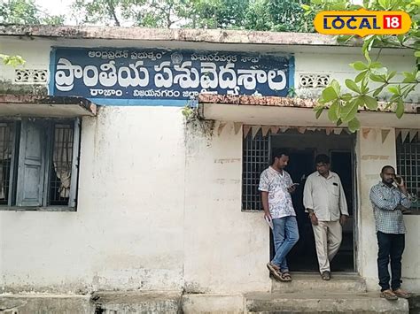 వేసవి కాలంలో పశువులకు వచ్చిన వ్యాధుల నివారణ చర్యలు ఇవే | Common Summer ...