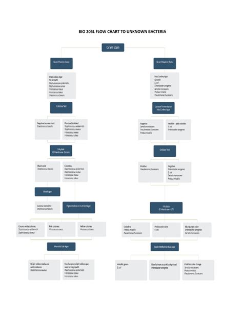 205L WEEK 07-08 FLOW Chart & KEY - BIO 205L FLOW CHART TO UNKNOWN ...