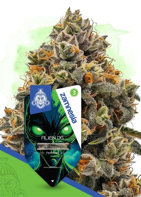 Image result for Alien OG Seeds
