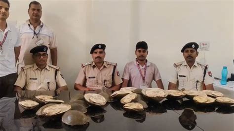 गया स्टेशन पर RPF ने 28 जीवित कछुओं को किया बरामद, सामान्य कोच में ...