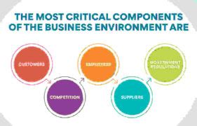 Image result for Business Environment Projects