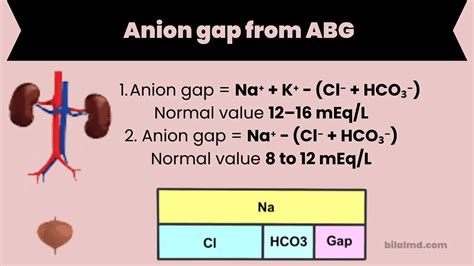 Anion Gap Calculator
