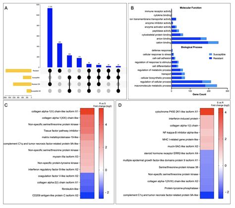 Transcriptome Signatures of Atlantic Salmon—Resistant Phenotypes ...