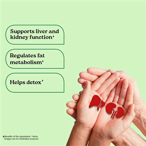Liver Kidney Care 180 Capsule LKC – Organic India