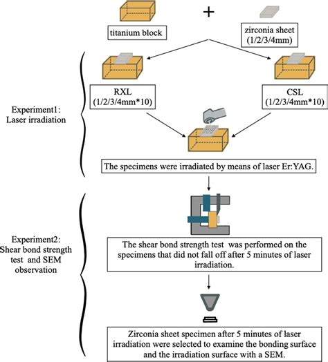 Image result for Flow Chart of Experimental Testing Process