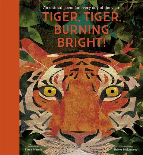 Tiger, Tiger, Burning Bright - Nosy Crow