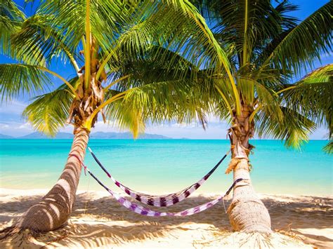 Bing Wallpaper Beach 的图像结果