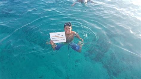 Our Transfer supplier for Hurghada - Reviews, Photos - Hurghada ...