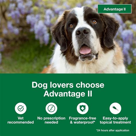 Advantage II XL Dog Vet-Recommended Flea Treatment & India | Ubuy