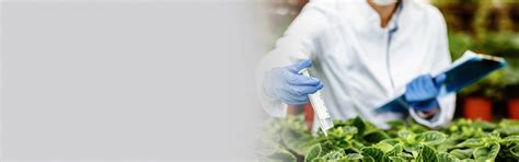 Ph.D. in Vegetable