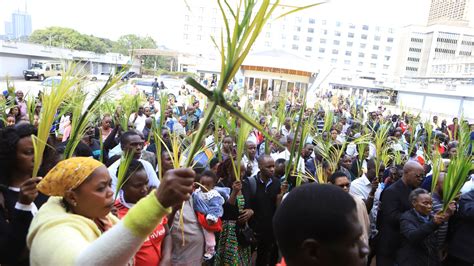 What is Palm Sunday? Why is the donkey important to the story? And how is it celebrated ...