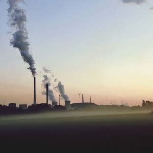 Decarbonize with Hedge5: Innovative Solutions for a Greener Future