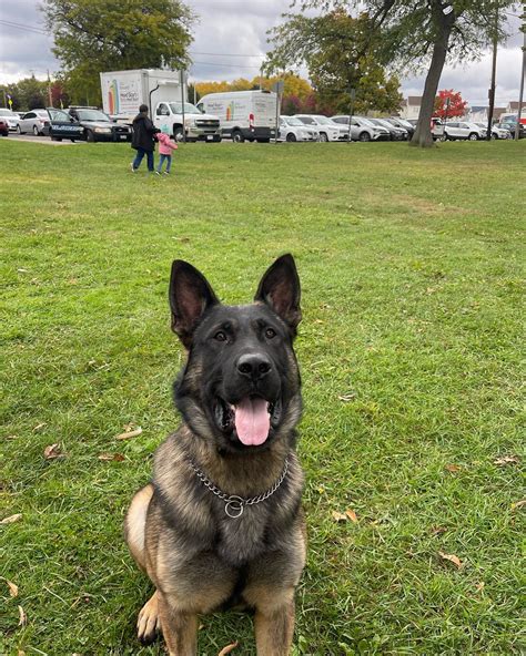Fall Festival at Luke Easter Park - The Cleveland Police Foundation