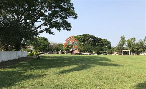 Home | Williamnagar Government College