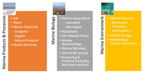 Home | CSIR-CSMCRI Bhavnagar