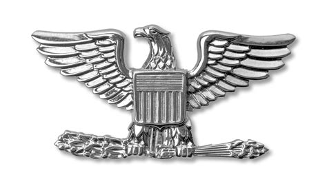 Image result for Colonel USM Rank
