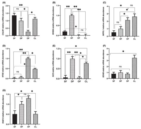 Tribbles Pseudokinase 2 (TRIB2) Regulates Expression of Binding ...