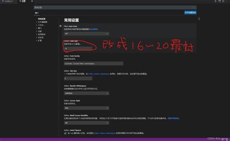 Visual Studio Code Intalling Image 的图像结果