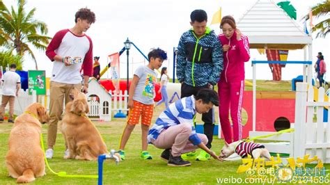 cdrama tweets on Twitter: "Sweet youth drama with a focus on dogs, # ...