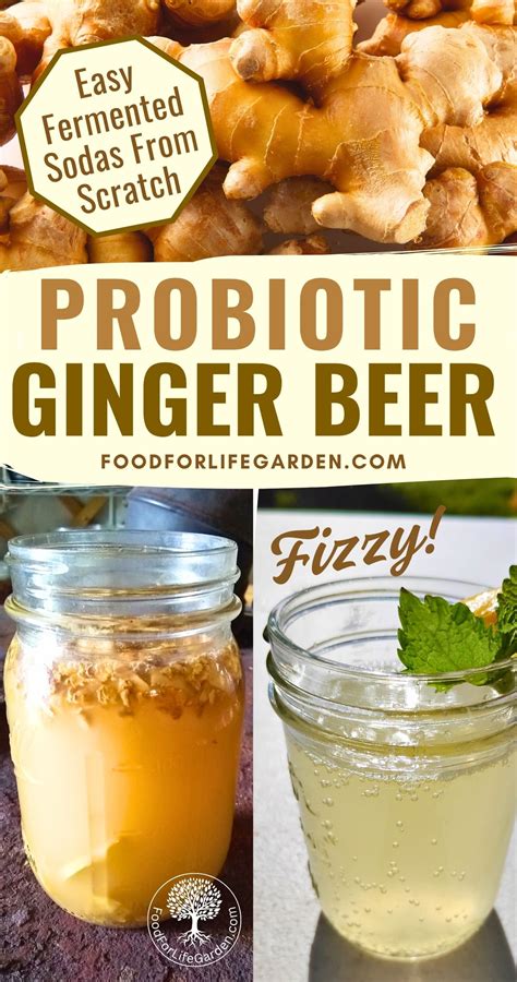 Best Ginger Beer Recipe - It's Fizzy, Delicious, And Healthy! | Recipe ...
