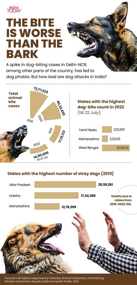 Pet dog bites security guard in Noida’s housing society | Video - India ...
