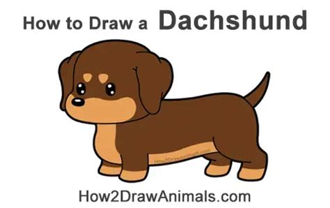 Image result for How2DrawAnimals Cartoon