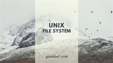 Image result for Unix File System Tutorial